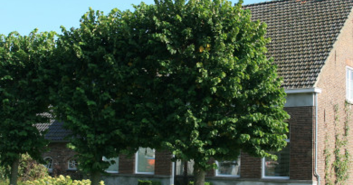 Grinsel 83, Den Dungen Monumenten.nl