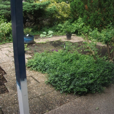 Badon van Meurs huis tuin