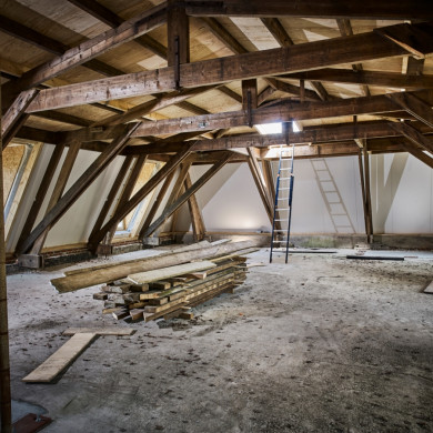 De Kastanjefabriek voor de restauratie