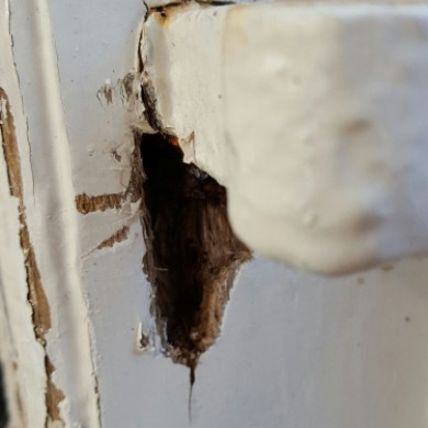 Onderhoud nodig aan het Koetshuis