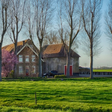 Hoeksche Waard 