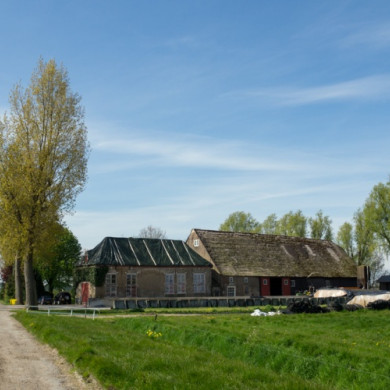 Hoeksche Waard 
