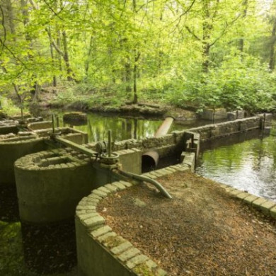 Bouwkundige werken in het Waterloopbos