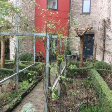 Achtertuin Jekerstraat