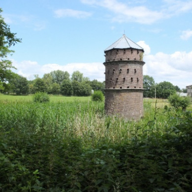 Foto: Maarten Evelein