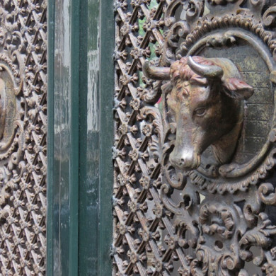 Ossenkoppen in de voordeur