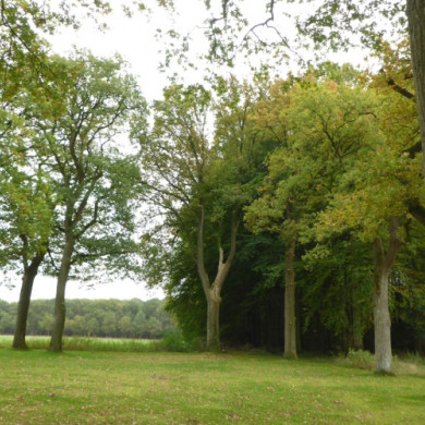 Landgoed de Eese