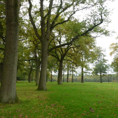 Landgoed de Eese