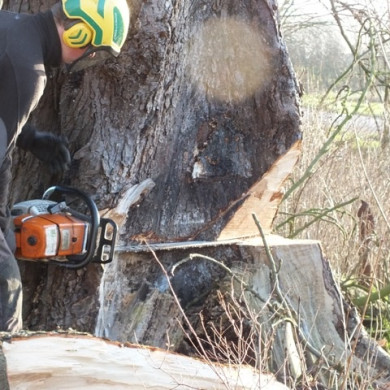 Restauratie van de Pastorije
