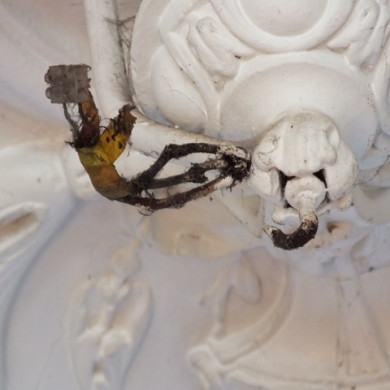 Restauratie van de Pastorije