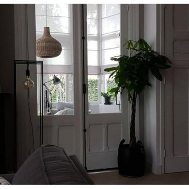 Herenboerderij Ruinerwold