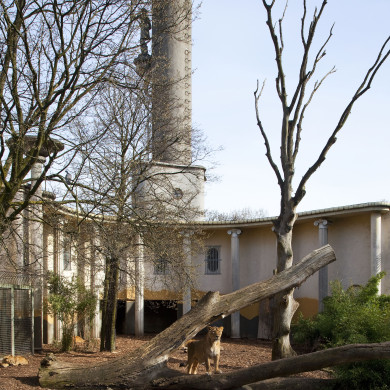 Diergaarde Blijdorp Rotterdam