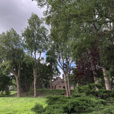 Bunkers Wassenaarseweg - Heimatschutzkultur