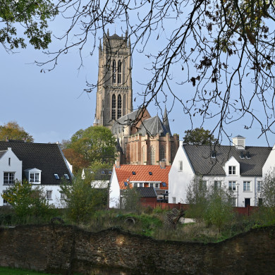 Toren Wallen Zaltbommel