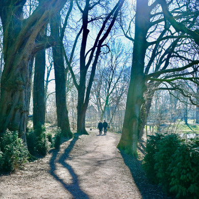 Stadswallen te Zaltbommel