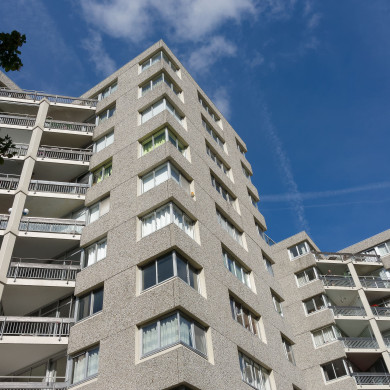 Gouden Leeuw en Groenhoven