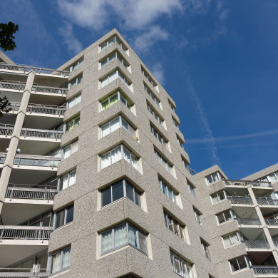 Gouden Leeuw en Groenhoven