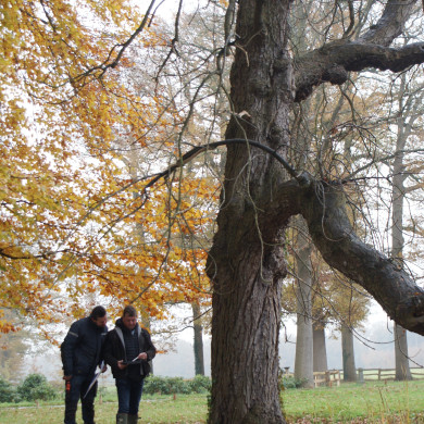 Groene Monumentenwacht