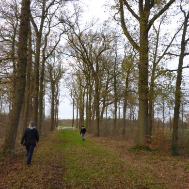 Groene Monumentenwacht