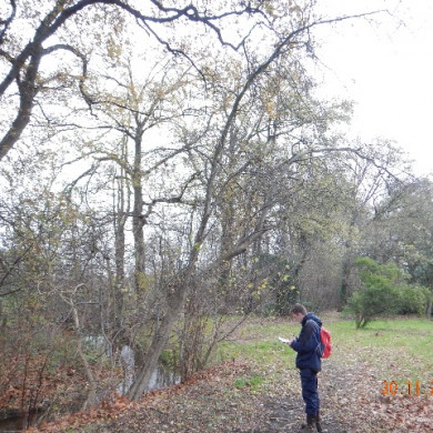 Inspectie Groene Monumentenwacht