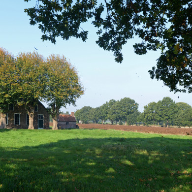 Drogterweg 6 Zuidwolde