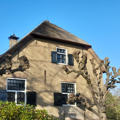 Rijksmonument aan de Ziedewijdsedijk 63 te Barendrecht