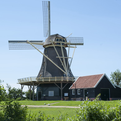 Korenmolen de Hoop