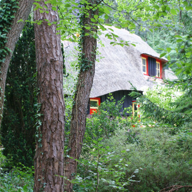 Recreatiehuisje aan de Langeloërweg 56 te Norg