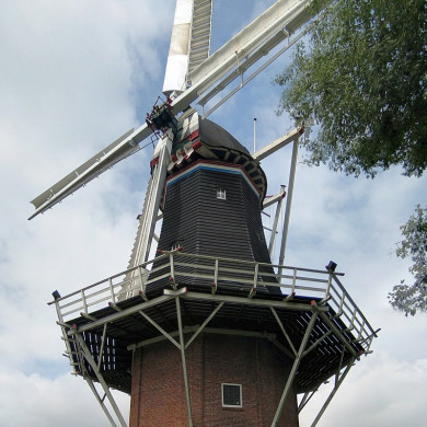 Molen De Leeuw Oldehove Wikimedia Commons - Wutsje
