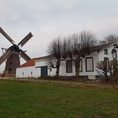 Düffels Möll, een 150 jaar oude molen op een heuvel, bij Stokkum in Gelderland. 