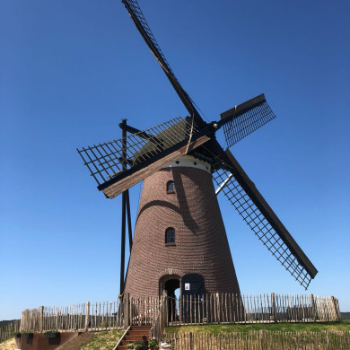 Düffels Möll, een 150 jaar oude molen op een heuvel, bij Stokkum in Gelderland. 