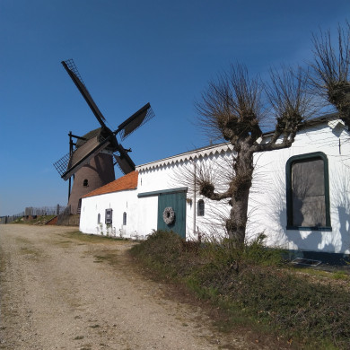Düffels Möll, een 150 jaar oude molen op een heuvel, bij Stokkum in Gelderland. 