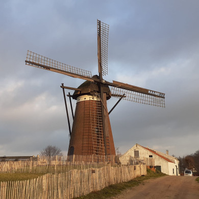 Düffels Möll, een 150 jaar oude molen op een heuvel, bij Stokkum in Gelderland. 