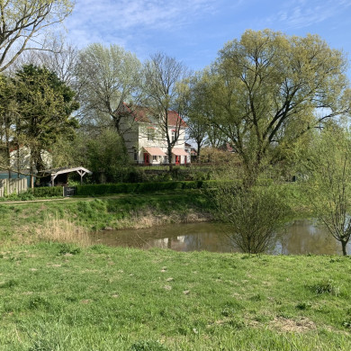Rijksdienst voor het Cultureel Erfgoed: Bogers, Guido