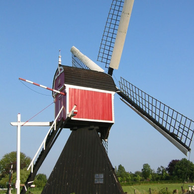 Rijksdienst voor het Cultureel Erfgoed: Terpstra, Frank