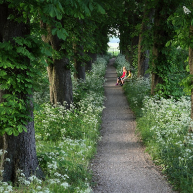 Rijksdienst voor het Cultureel Erfgoed: Bijlsma, Simon