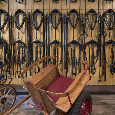 Rijksdienst voor het Cultureel Erfgoed: Tilleman, Ronald