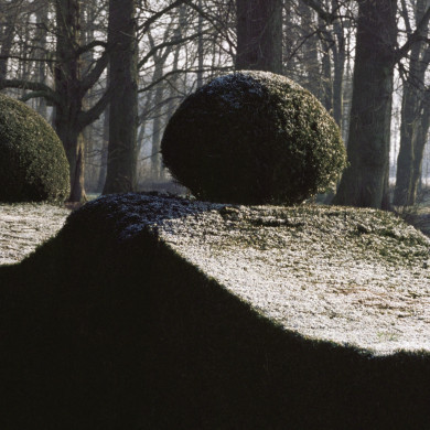 Rijksdienst voor het Cultureel Erfgoed: Heuff M. (Marijke)