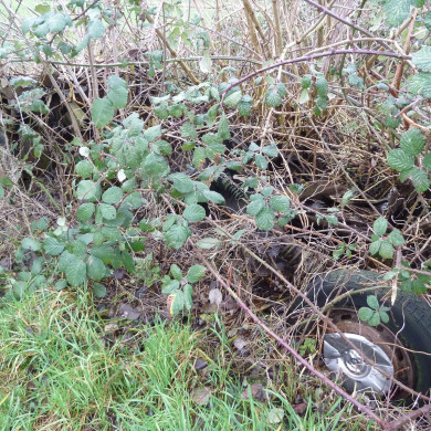 Rijksdienst voor het Cultureel Erfgoed: Bogers, Guido