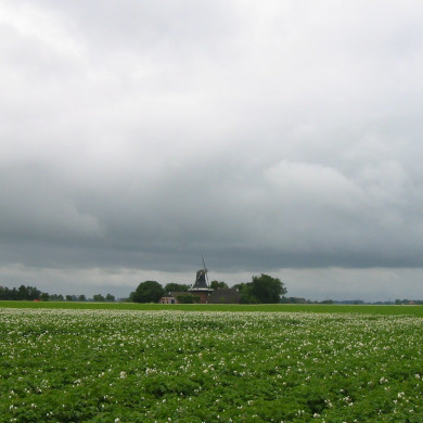 Rijksdienst voor het Cultureel Erfgoed: Terpstra, Frank