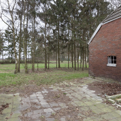 Rijksdienst voor het Cultureel Erfgoed: Booms, Chris