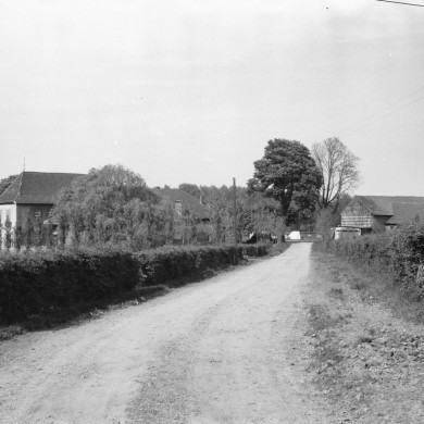 Rijksdienst voor het Cultureel Erfgoed: Delemarre, G.Th.