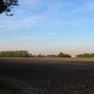 Rijksdienst voor het Cultureel Erfgoed: Terpstra, Frank