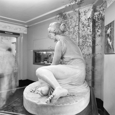 Rijksdienst voor het Cultureel Erfgoed: Dukker, G.J.