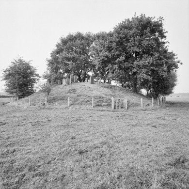 Rijksdienst voor het Cultureel Erfgoed: Koning, J.P. de