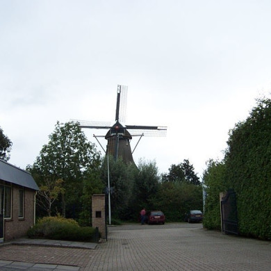 Rijksdienst voor het Cultureel Erfgoed: Terpstra, Frank