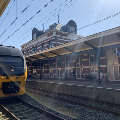 Rijksdienst voor het Cultureel Erfgoed: Bogers, Guido