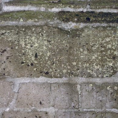 Rijksdienst voor het Cultureel Erfgoed: Koning, de-Koning, J.P. de