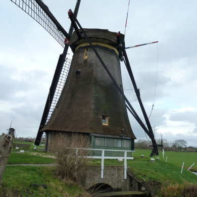 Rijksdienst voor het Cultureel Erfgoed: Bogers, Guido