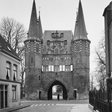 Rijksdienst voor het Cultureel Erfgoed: Delemarre, G.Th.